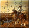 Puzzle Contest.jpg